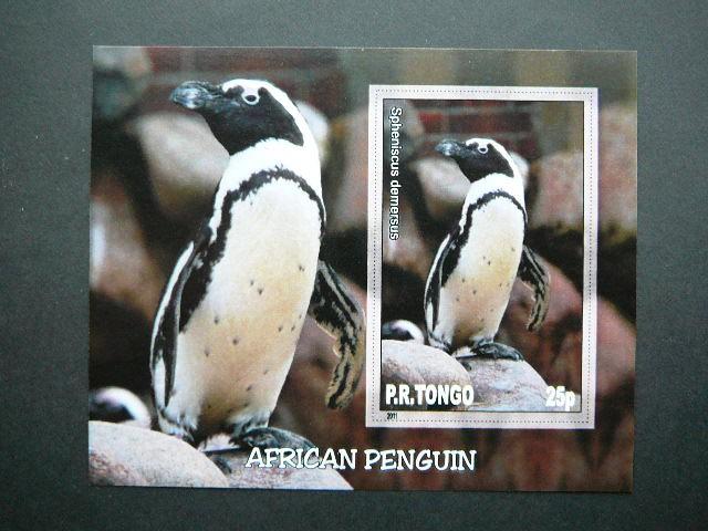 Pingvinai Pauksciai Tonga 2011 svarus #044bd 