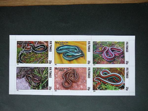 Gyvates Tonga 2010 svarus #bd111