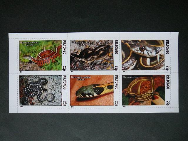 Gyvates Tonga 2010 svarus #bd112
