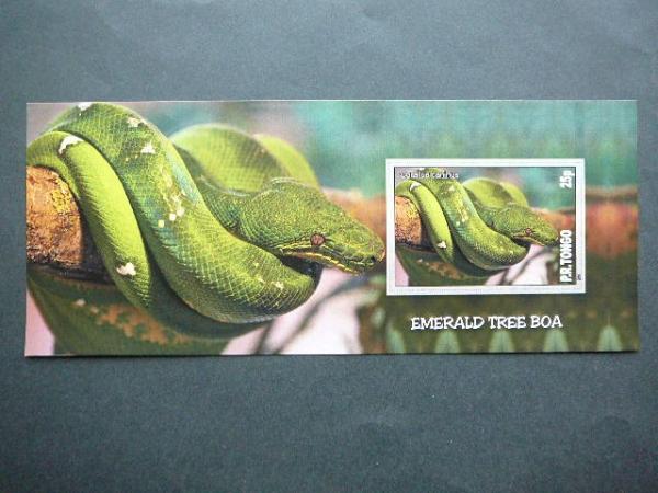 Gyvates Tonga 2010 svarus #bd116