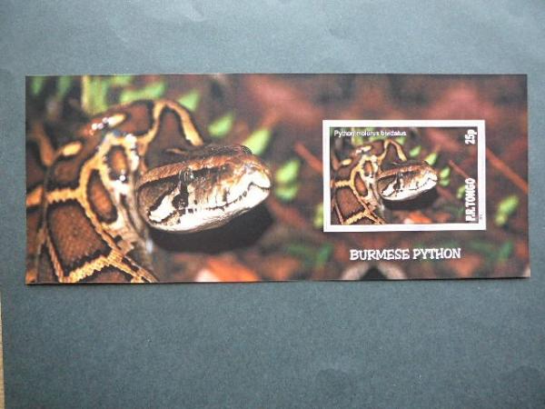 Gyvates Tonga 2010 svarus #bd117