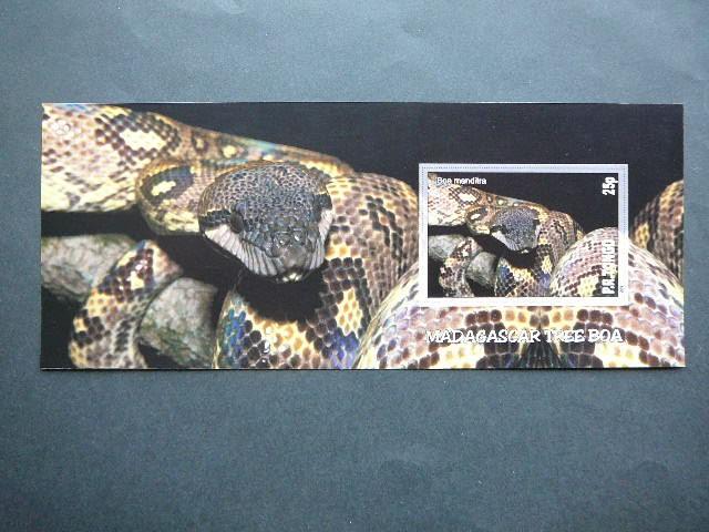 Gyvates Tonga 2010 svarus #bd118