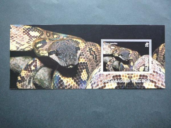 Gyvates Tonga 2010 svarus #bd118