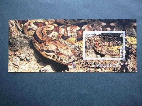 Gyvates Tonga 2010 svarus #bd120