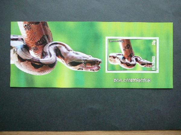 Gyvates Tonga 2010 svarus #bd121