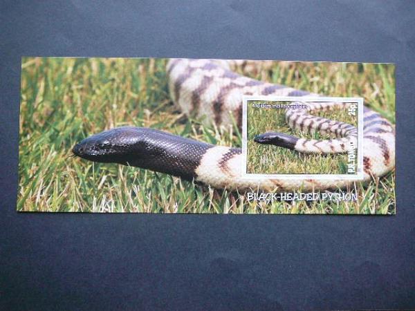 Gyvates Tonga 2010 svarus #bd122