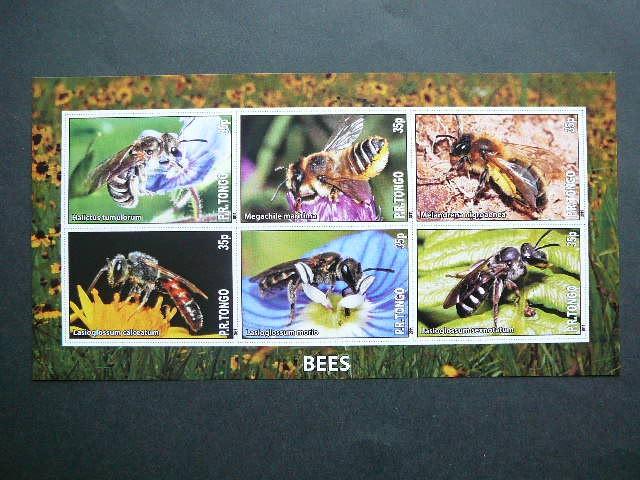 Bites Tonga 2011 svarus #bd995