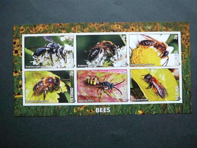 Bites Tonga 2011 svarus #bd996