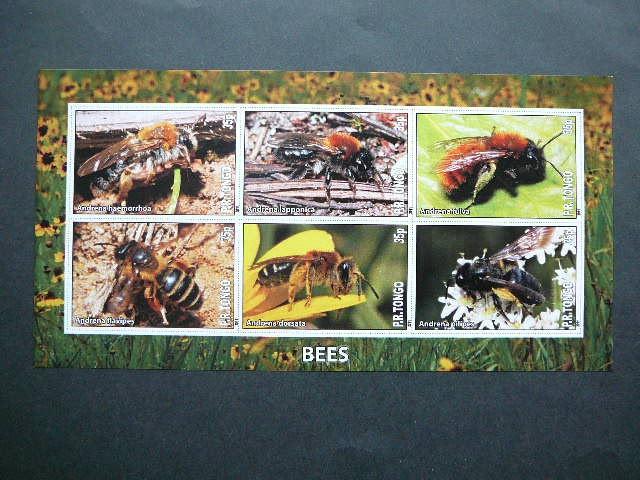 Bites Tonga 2011 svarus #bd997