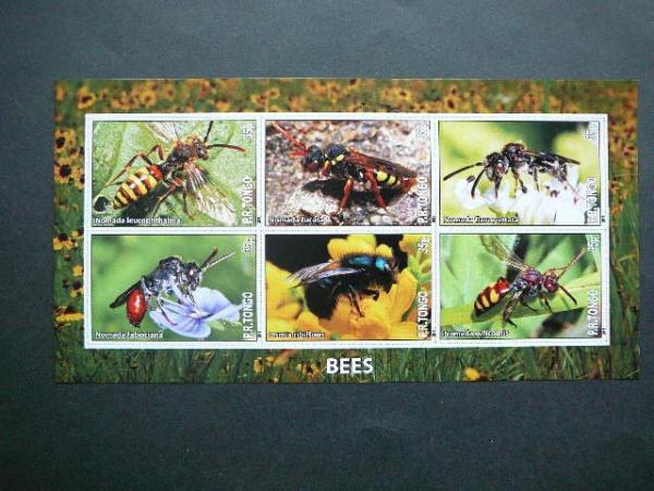 Bites Tonga 2011 svarus #bd998