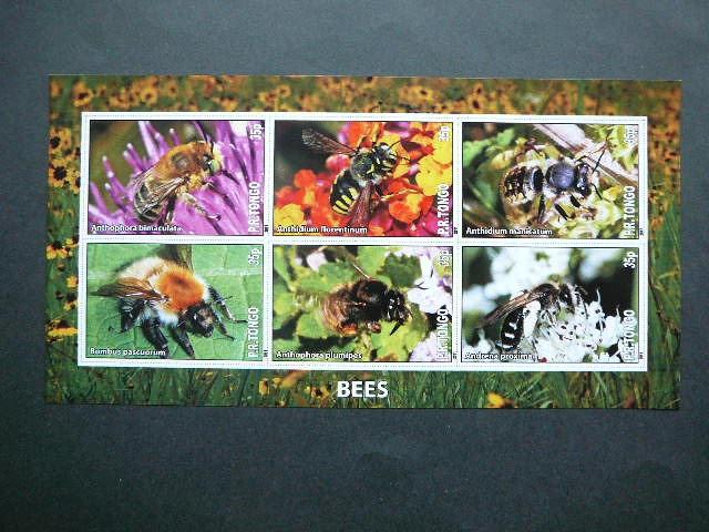 Bites Tonga 2011 svarus #bd999