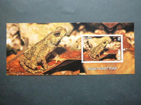 Varles Tonga 2010 svarus #bd981