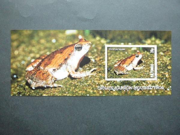 Varles Tonga 2010 svarus #bd983