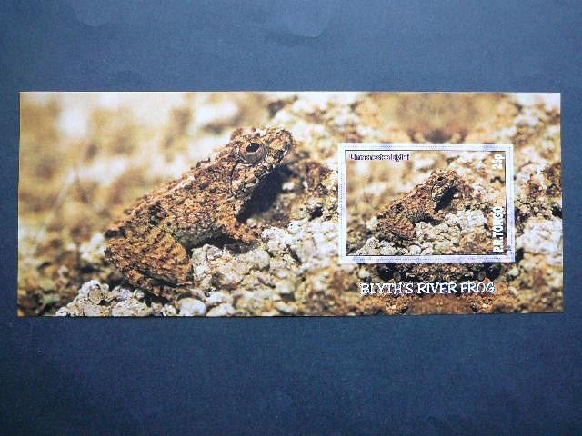 Varles Tonga 2010 svarus #bd984