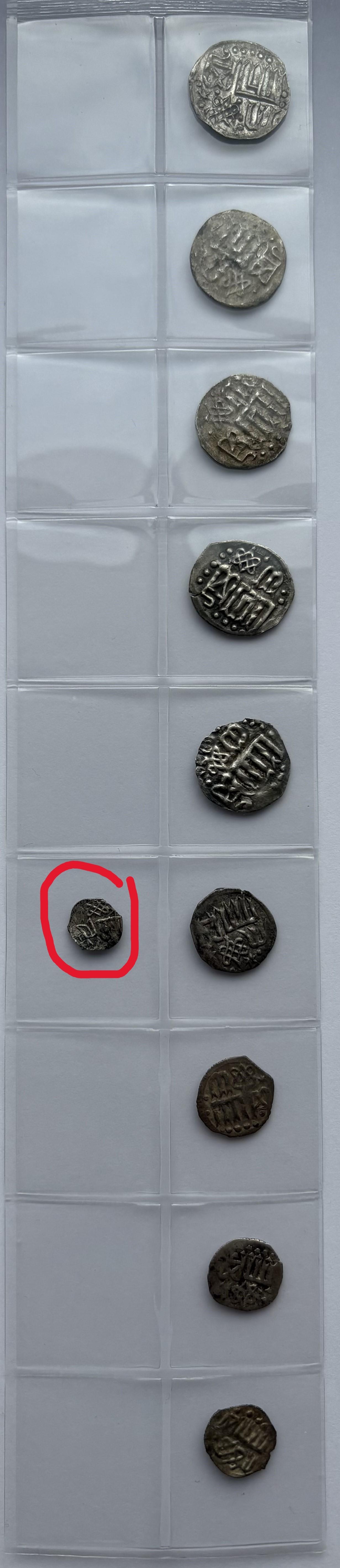 Vladimiras Algirdaitis. Džanibeko Danga. Kijevas.