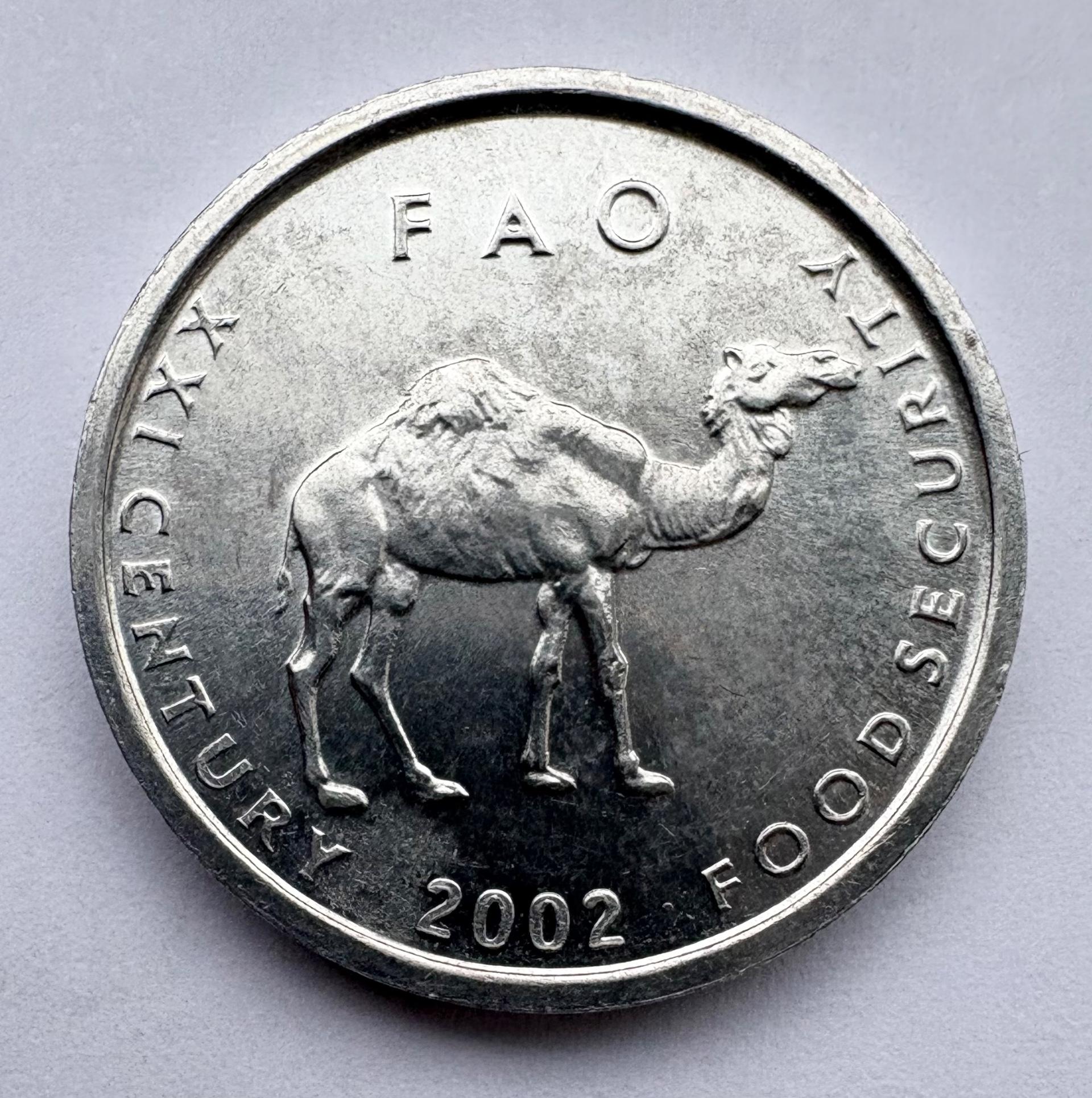 Somalis 10 šilingų 2002