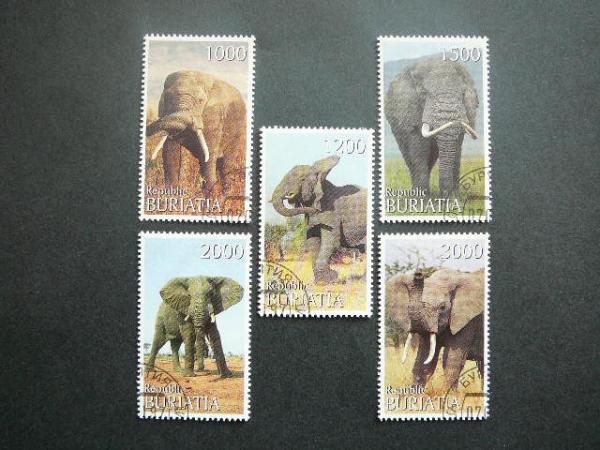 (R) Buriatija 2000 Drambliai antsp. #