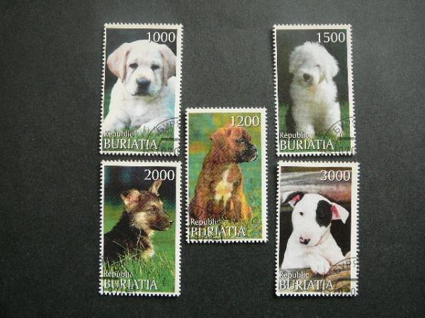 (R) Buriatija 2000 Sunys antsp. #