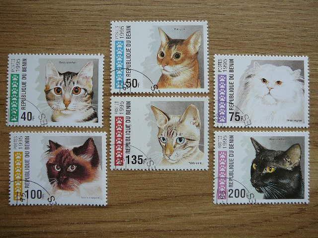 Beninas 1995 Kates antsp. #