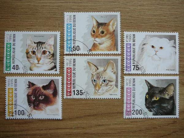 Beninas 1995 Kates antsp. #
