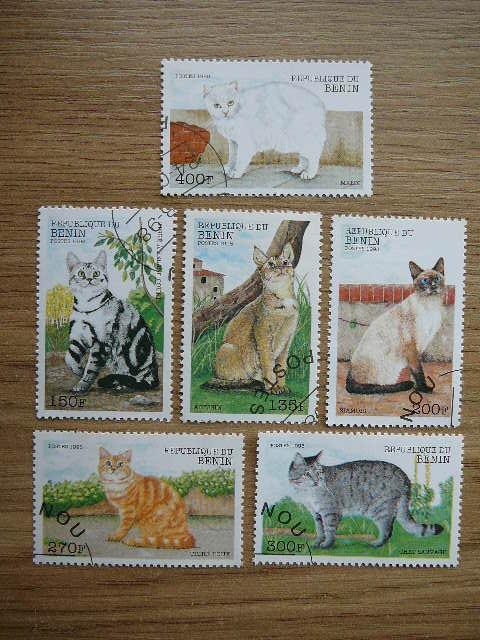 Beninas 1998 Kates antsp. #