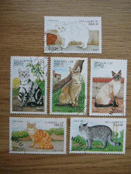 Beninas 1998 Kates antsp. #