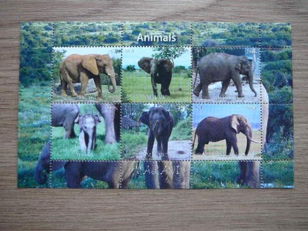 Dzibutis 2011 Drambliai MNH #01