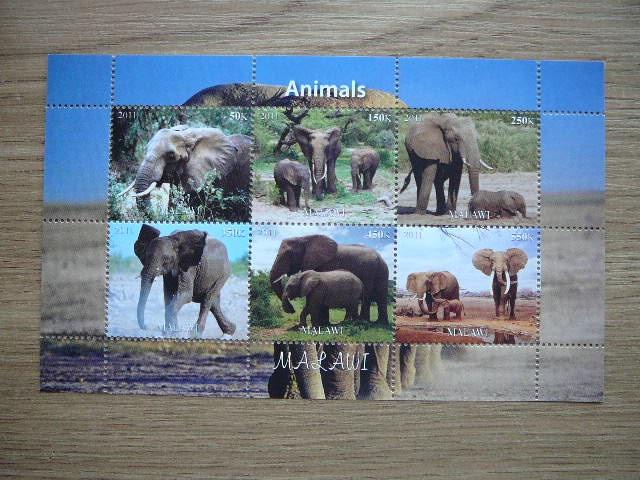 Dzibutis 2011 Drambliai MNH #03