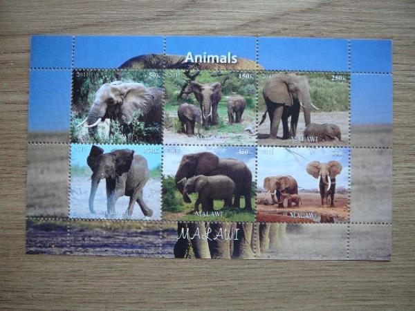 Dzibutis 2011 Drambliai MNH #03