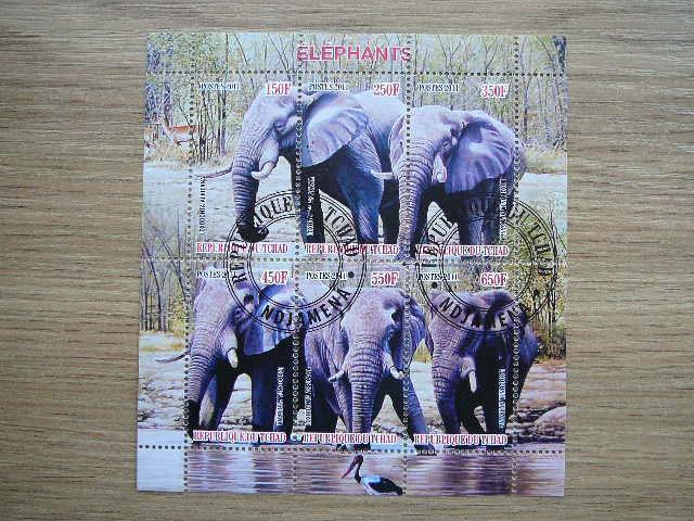 g495 Drambliai Cadas 2011 antsp. #