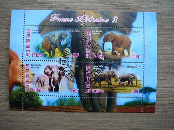 g548 Drambliai Cadas 2012 antsp.