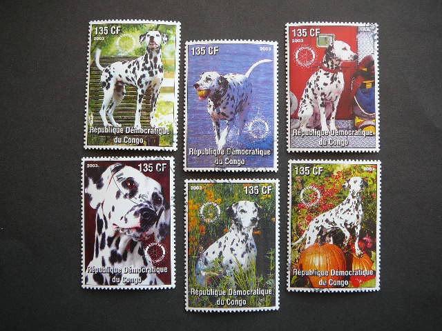 Kongas 2003 Sunys antsp. #21