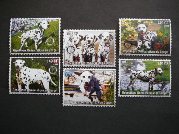 Kongas 2003 Sunys antsp. #22