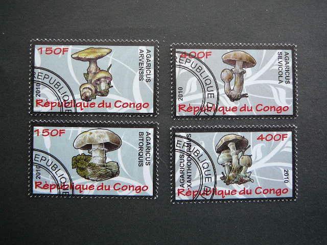 s631 Grybai Kongas 2010 antsp. #