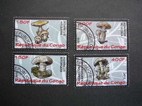 s631 Grybai Kongas 2010 antsp. #