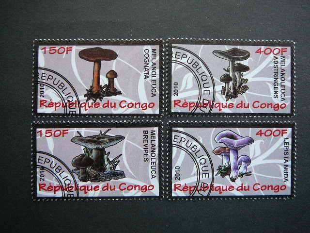 s632 Grybai Kongas 2010 antsp. #