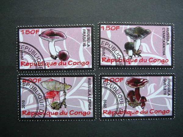 s633 Grybai Kongas 2010 antsp. #