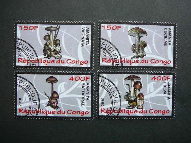 s634 Grybai Kongas 2010 antsp. #