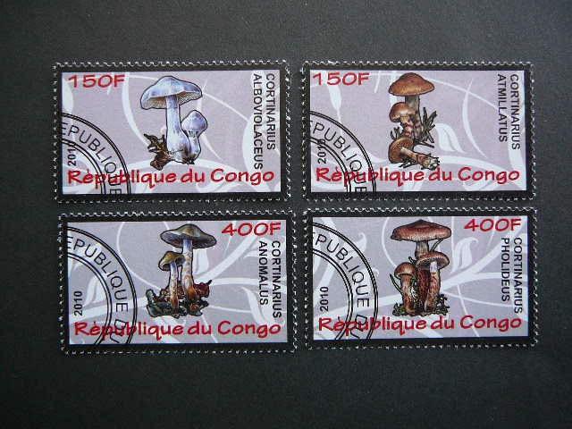 s635 Grybai Kongas 2010 antsp. #