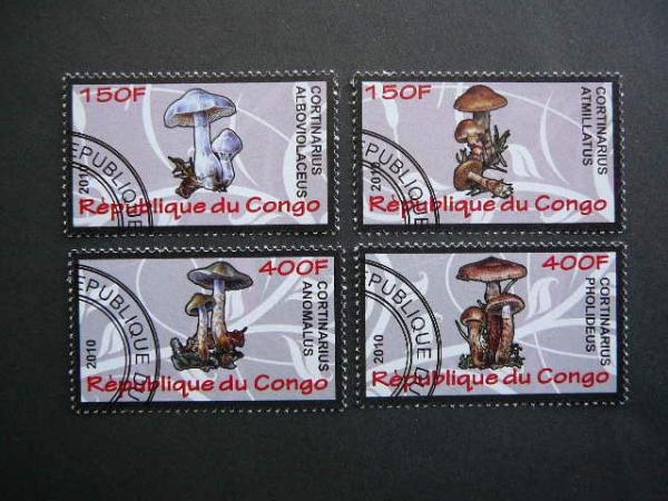 s635 Grybai Kongas 2010 antsp. #