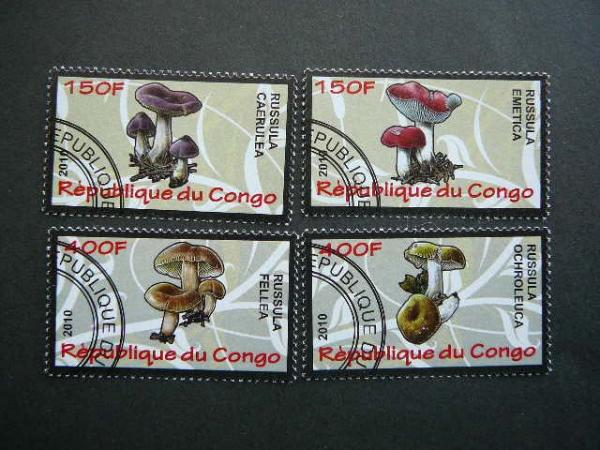 s636 Grybai Kongas 2010 antsp. #