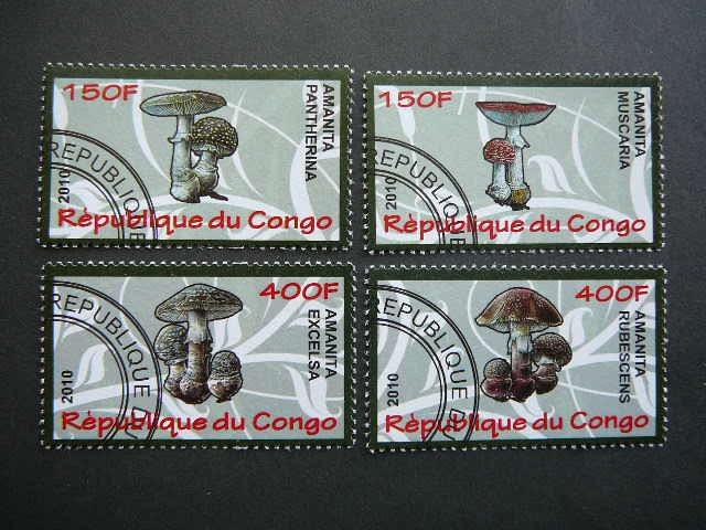 s637 Grybai Kongas 2010 antsp. #