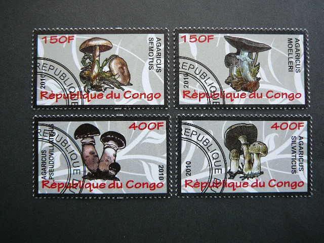 s638 Grybai Kongas 2010 antsp. #18