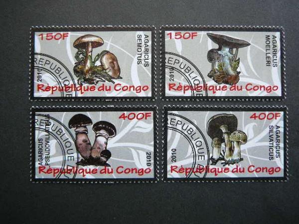 s638 Grybai Kongas 2010 antsp. #18