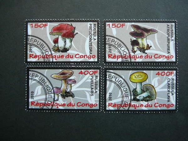 s639 Grybai Kongas 2010 antsp. #11