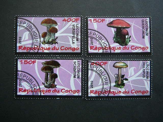 s640 Grybai Kongas 2010 antsp. #11