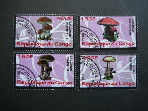 s640 Grybai Kongas 2010 antsp. #11