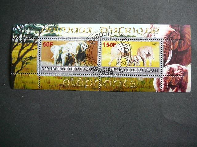 s798 Drambliai 2010 Dzibutis antsp. #