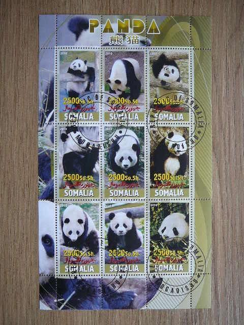 s809 Meskos Pandos Somalis 2010 antsp. #