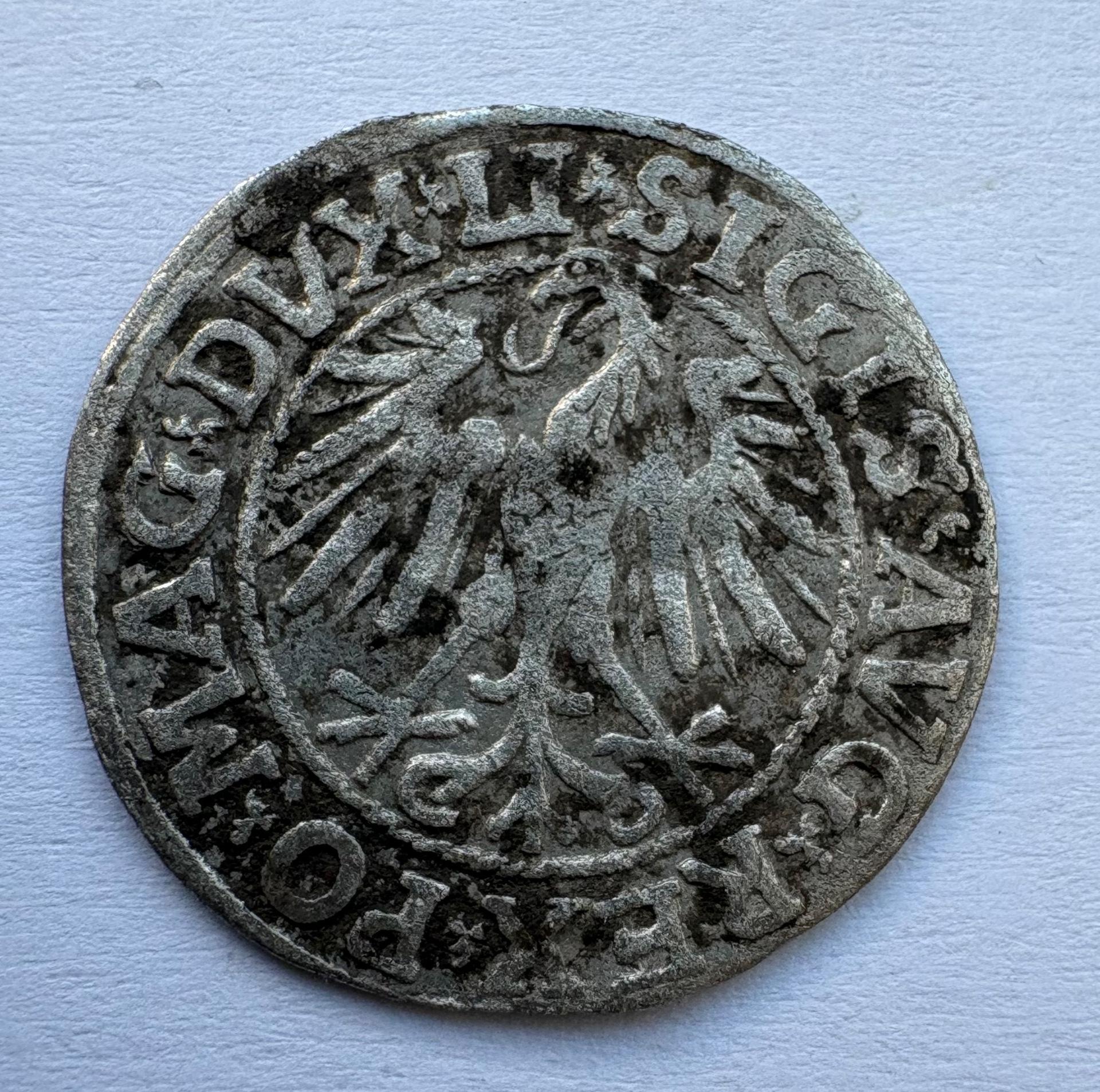 Žygimanto Augusto 1546 pusgrašis R